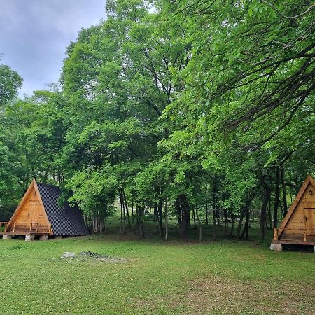 Wolf & Sheep Nature & Adventure Podgorica Esterno foto