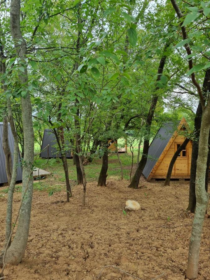 Wolf & Sheep Nature & Adventure Podgorica Esterno foto