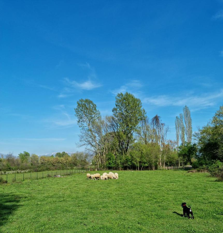 Wolf & Sheep Nature & Adventure Podgorica Esterno foto