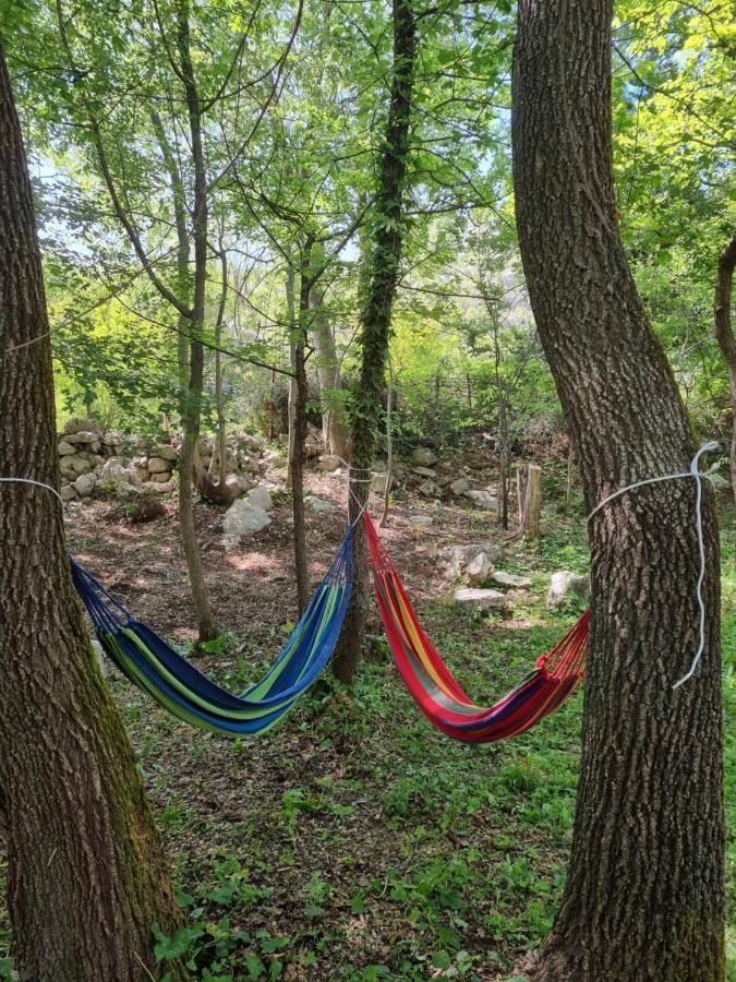 Wolf & Sheep Nature & Adventure Podgorica Esterno foto