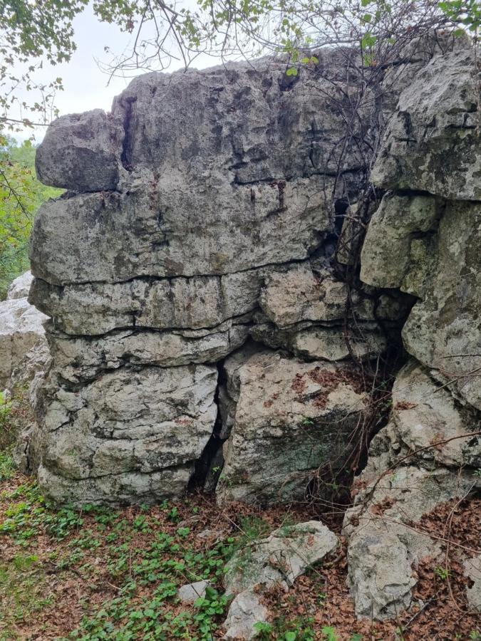 Wolf & Sheep Nature & Adventure Podgorica Esterno foto