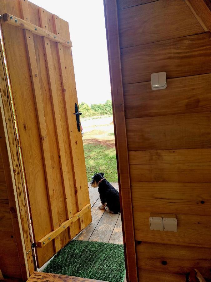 Wolf & Sheep Nature & Adventure Podgorica Esterno foto