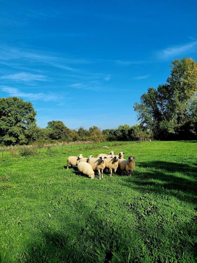 Wolf & Sheep Nature & Adventure Podgorica Esterno foto